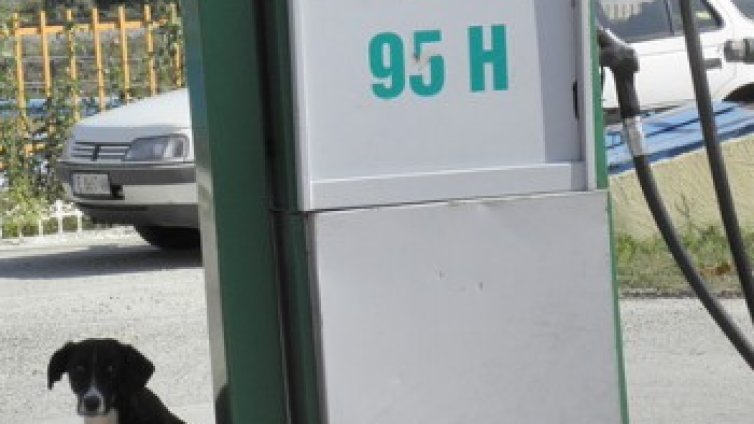 Задържаха двама, грабили бензиностанции край Варна