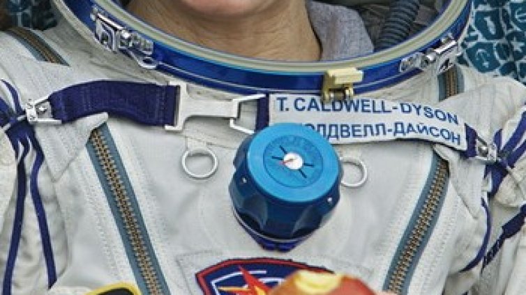 Кората на ябълката &ndash; най-полезното в нея