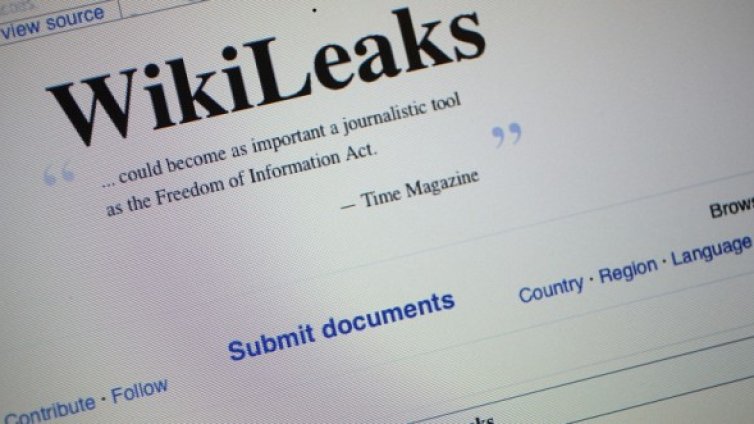 Лъснахме в WikiLeaks: Само сопата върши работа в България