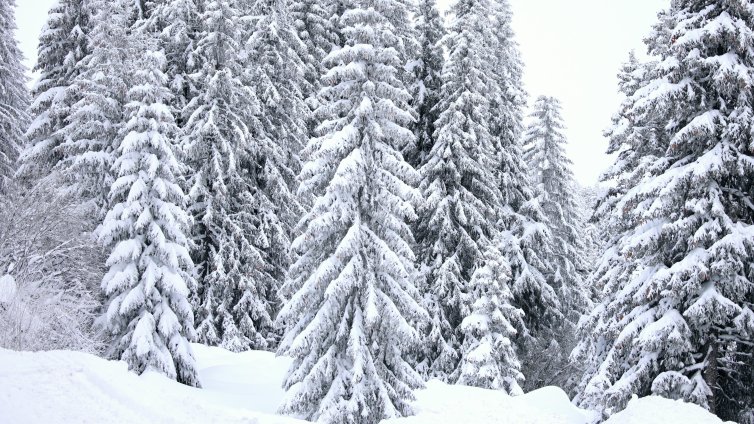 Отново мразовит ден, обявен е жълт код за студ в Северна България