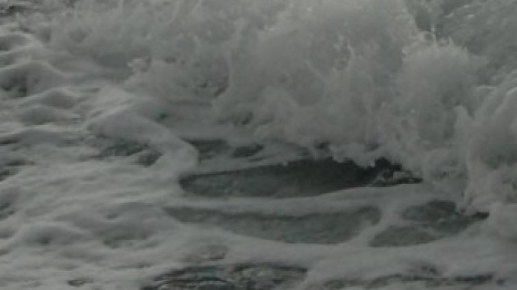 Пъклен план за трафик на кока прати българи в британски затвор