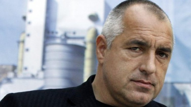 Борисов зачете листче с мотиви