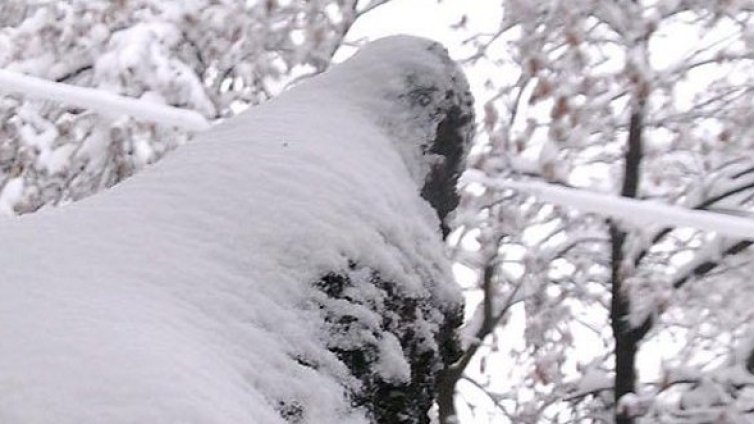 Малък Сечко мразовит &ndash; обещава ни до минус 17&deg;