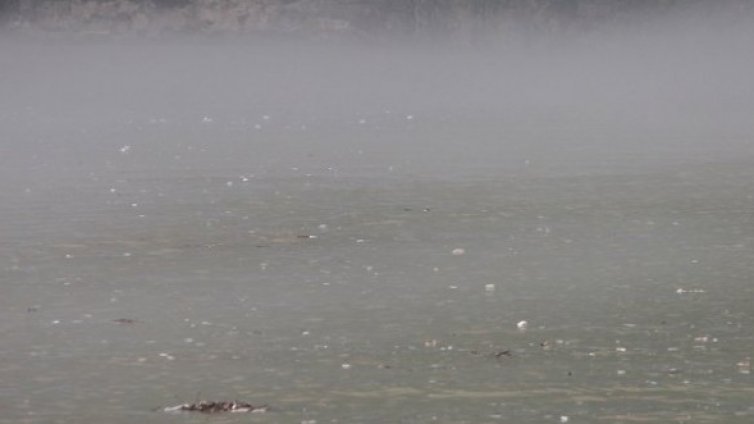 Кораб с туристи потъна във Виетнам, 12 загинаха