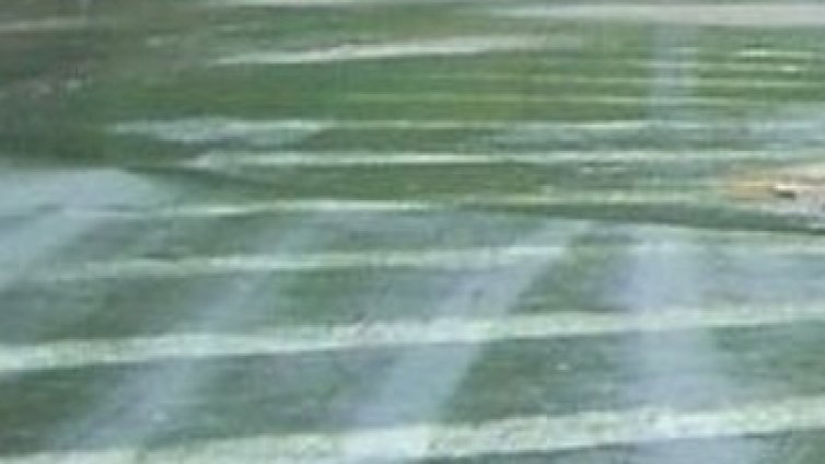 22-годишен шофьор погуби младеж, избяга и се скри