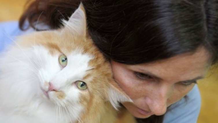 Котката - най-добрият приятел на жената