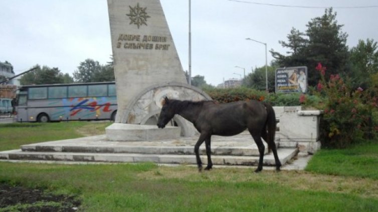 Синя зона се пръква и в курорта Слънчев бряг