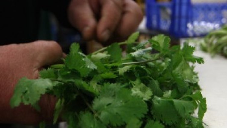 Срещу пролетна умора &ndash; прочистване на организма от токсини