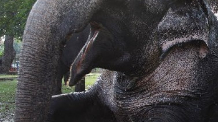 С възрастта лидерите стават по-добри