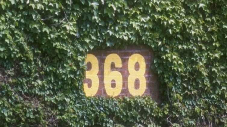 Бръшлян свали цената на къща с 230  хил. лири