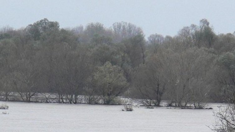 Находка! Двама афганистанци на остров в Марица