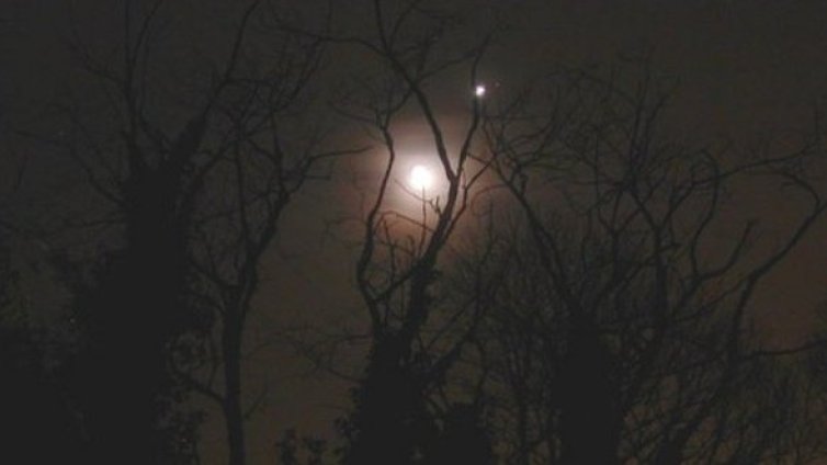 И български учен на международен симпозиум по НЛО