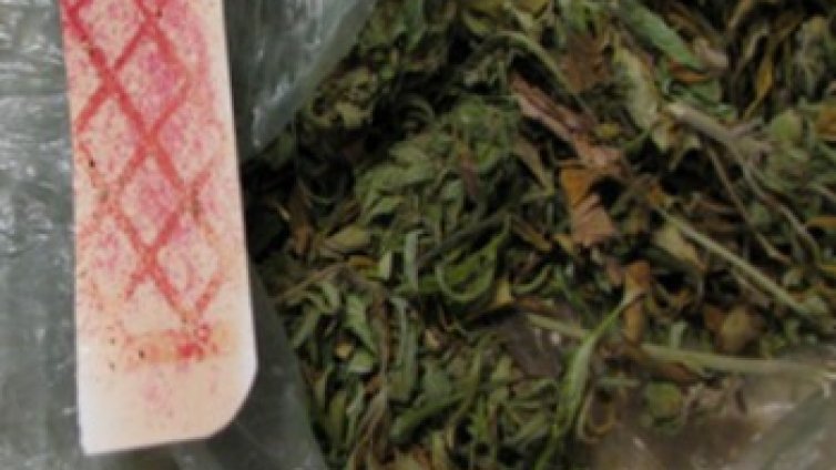 Дрога е открита в апартамент и кола в София