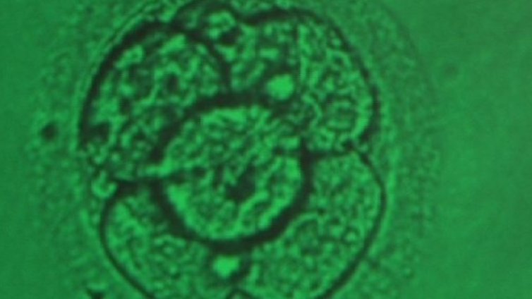 За дългия път към щастието