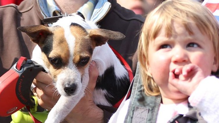 Куче или коте за бебето