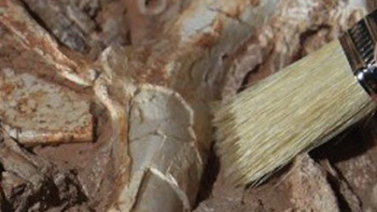 В Китай откриха над 100 гробници от периода Източна Чжоу