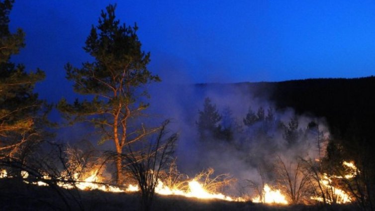 150 сигнала в пожарната за ден