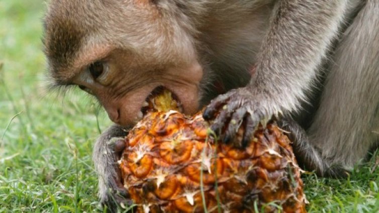 Денят в снимки