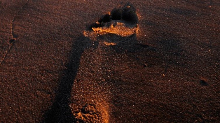 Отпечатъците от стъпки идентифицират като пръстовите?