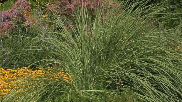 Учен ще прекара 2 дни в херметичен контейнер със 160 растения