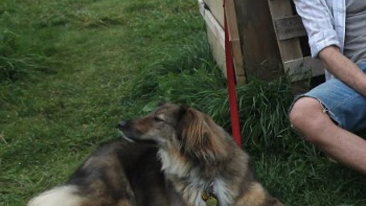 Реакцията ни към животните е свързана със специфична зона в мозъка