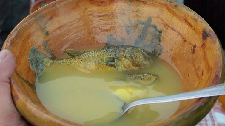 Накратко за храните срещу грип 