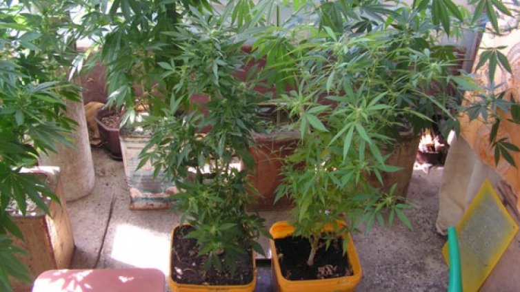 Разбиха две нарколаборатории в Бургас