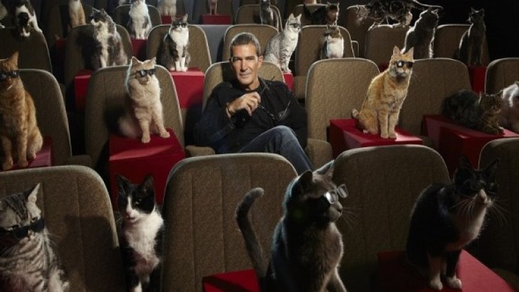 Бандерас в неочаквана компания на 3D-то на "Котаракът в чизми"