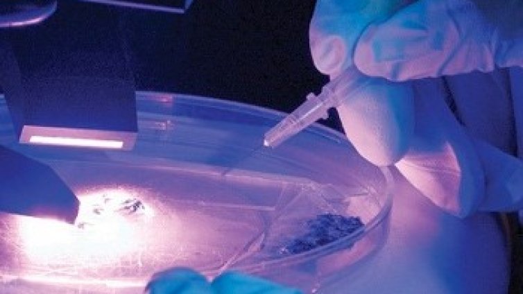 Аеробните микроорганизми са се появили на сушата 100 млн. години по-рано