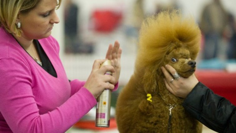 Денят в снимки