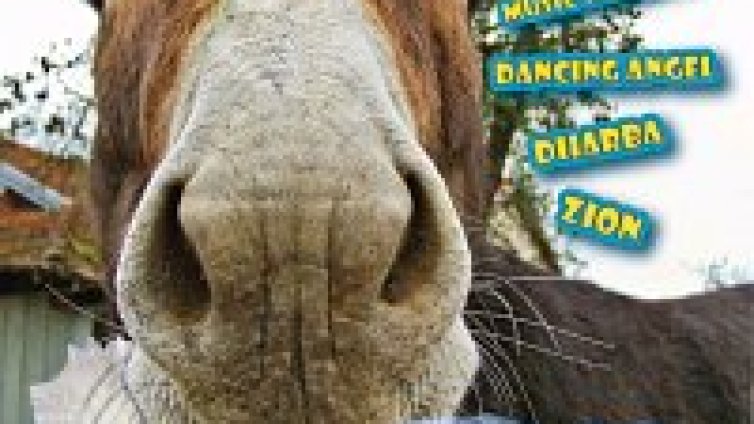 За една неделя от Африканските до Балканските ритми с аромата на Венецуела!