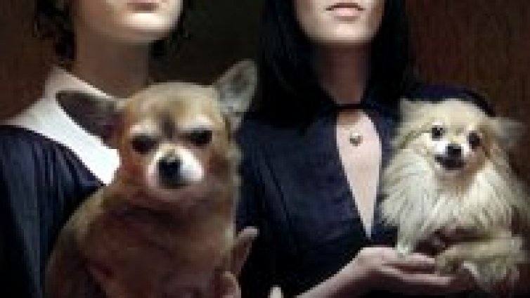 Ladytron направиха кавър на Щурците!