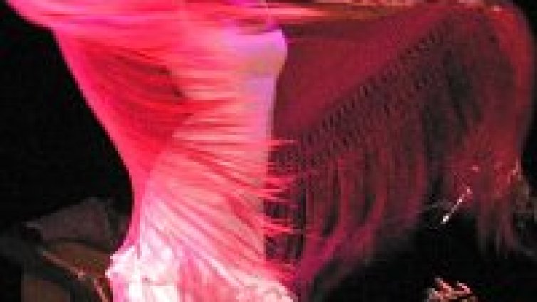 Циганските Крале на фламенкото отново в България