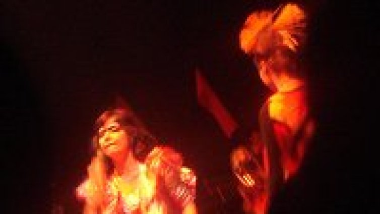 Bjork - босата пеперуда на бурите