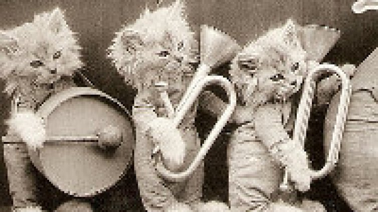 Най-нелепите кавър версии!