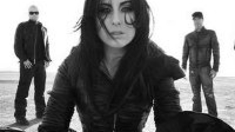 Музикантите от Evanescence с нов проект