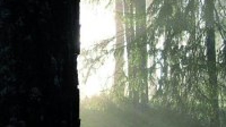 Хвърли едно ухо на новия Burzum 
