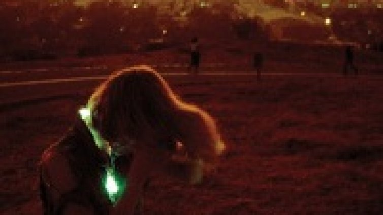 Слушай Polish Girl на Neon Indian