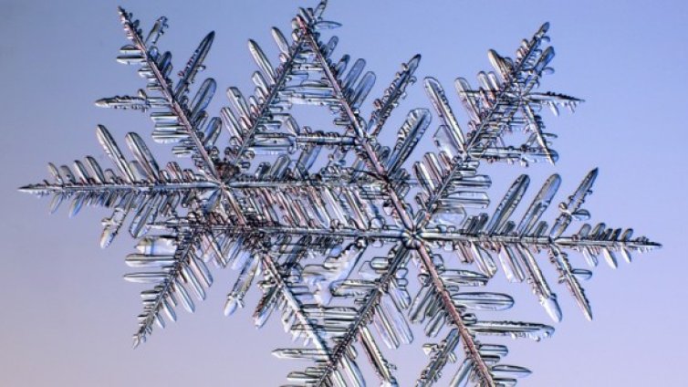 Снежинките &ndash; тези уникални шедьоври на природата