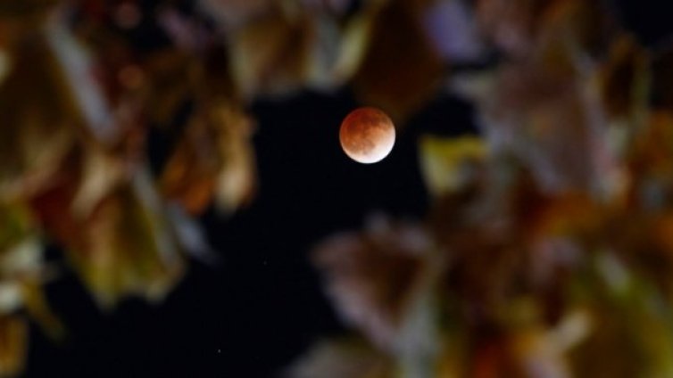 Първата от сондите на НАСА бе изведена в орбита около Луната