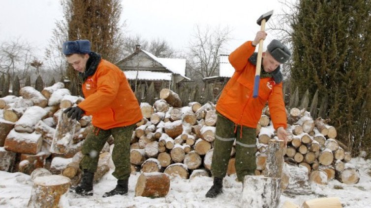 Цепим дърва - тренираме мускулни групи