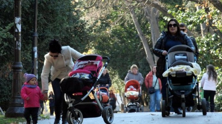 Без отпуск по майчинство за осиновено дете до 5 г. 