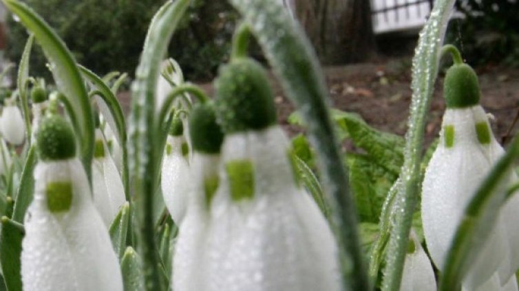 Днес &ndash; студ и сняг, слънчице от събота