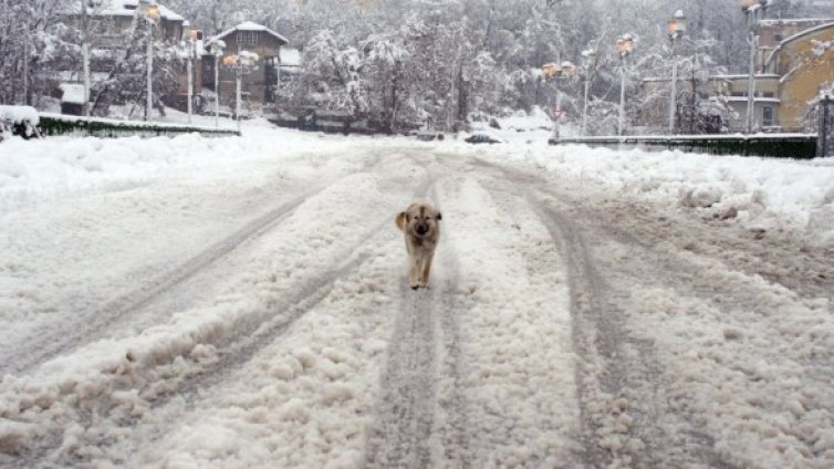 ГЕРБ плащали двойно за зимното почистване на пътищата