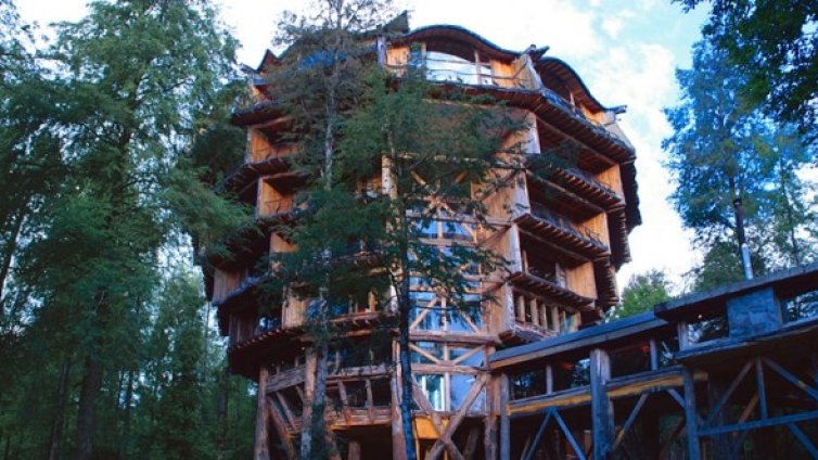 Хотел "Баобаб" &ndash; магическо кътче насред чилийската гора