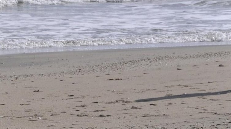 Откриха труп на жена на бургаски плаж