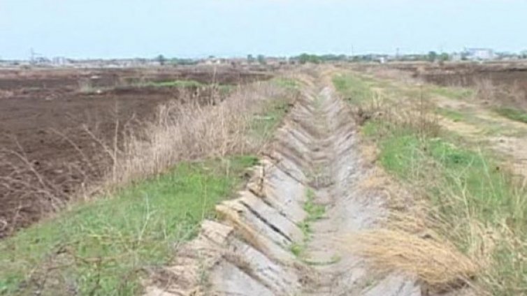 Криза с ориза заради липса на вода 