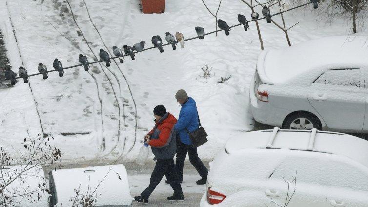 Над 2000 сигнала за бомбени заплахи е получила полицията в цяла Украйна