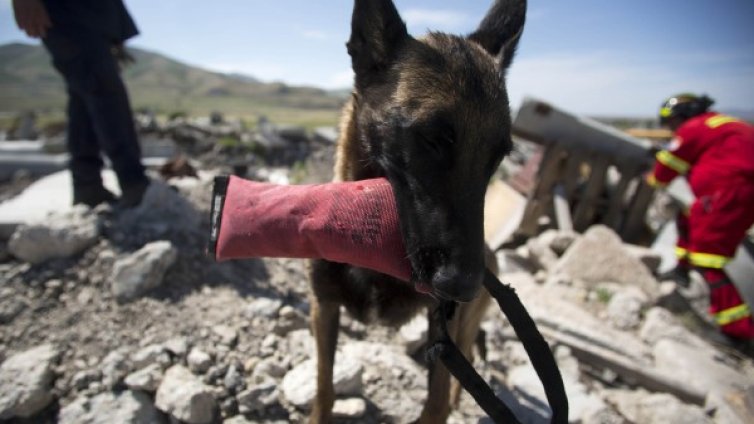 Силен трус в Италия. Трима са загинали