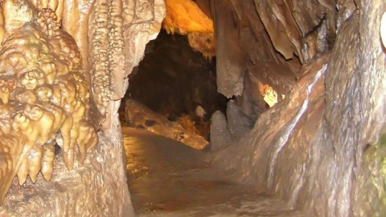 Доброволци измъкнаха 258 гуми от пещера край Шумен